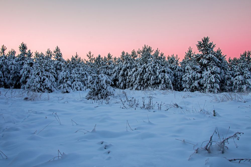 Photograph by Максим