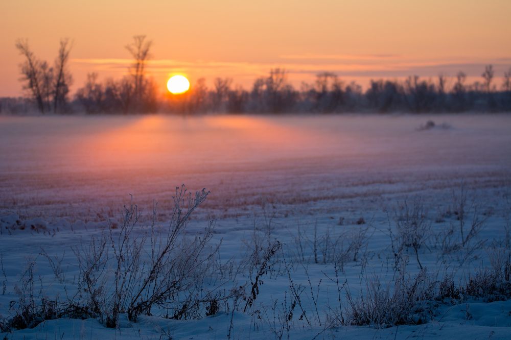 Photograph by Антон Жирнов