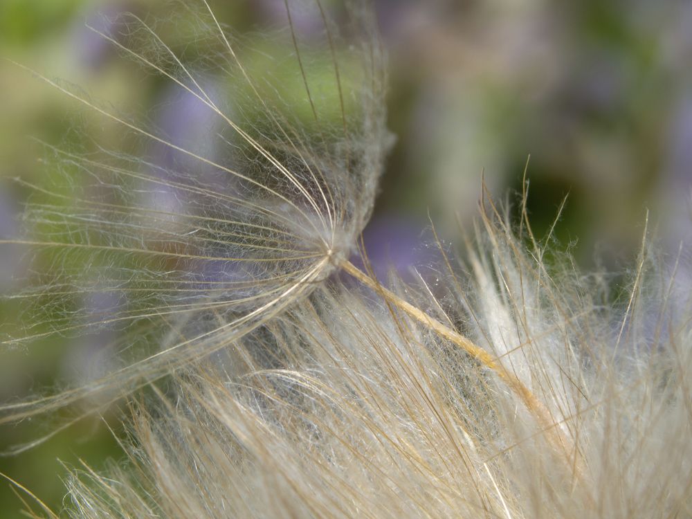 Фотография автора Александр Кротков