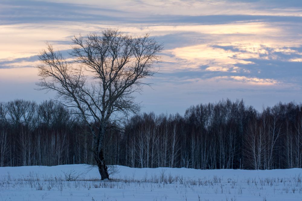 Photograph by Антон Жирнов