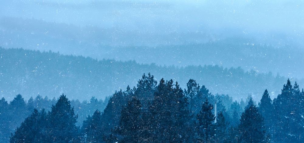 Photograph by Elena Vill