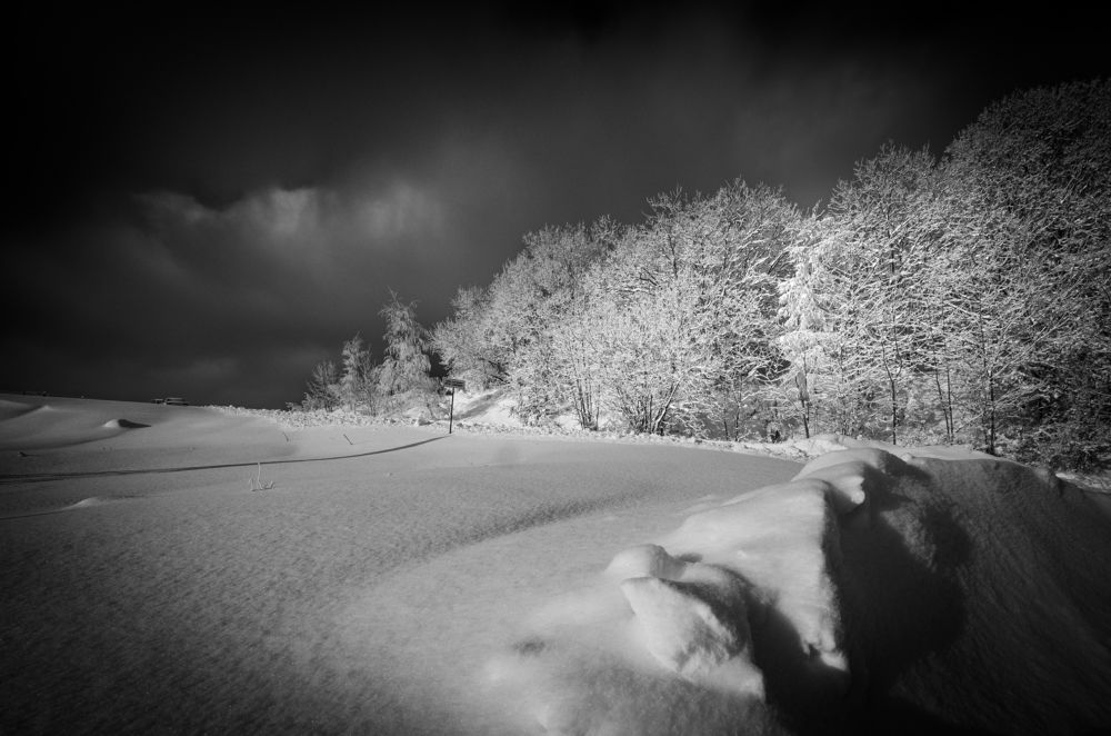 Photograph by Rafal Kucewicz