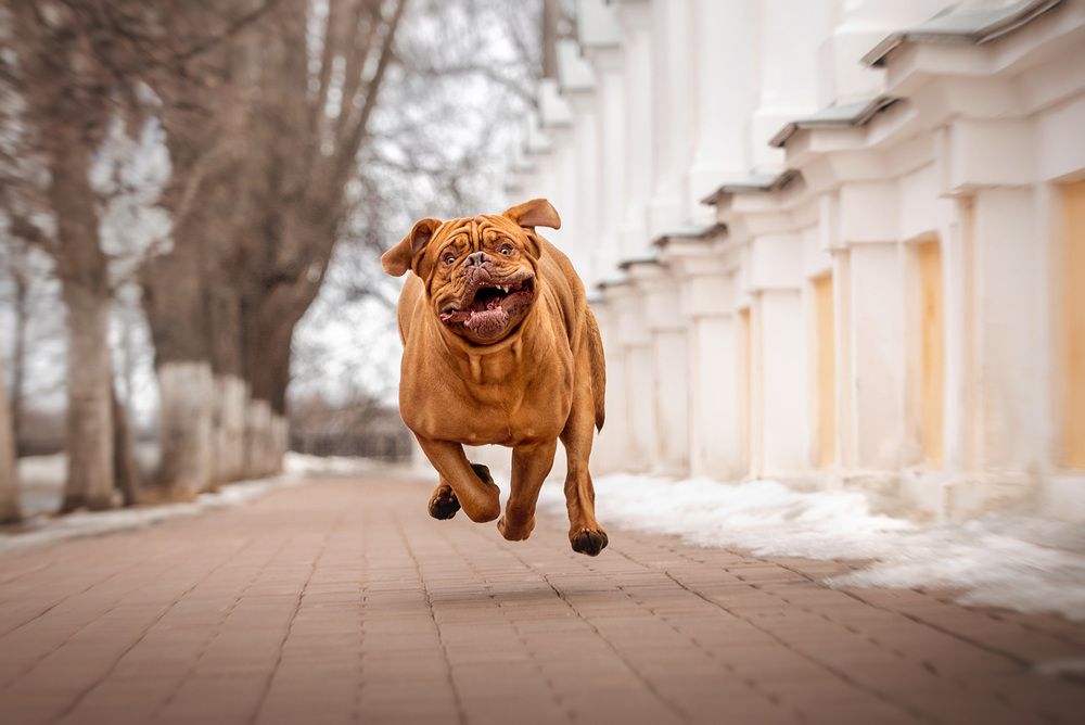 Фотография автора Оксана Серова