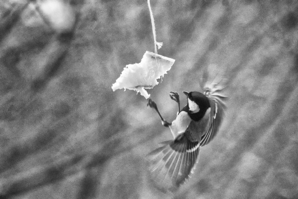 Photograph by Vitaliy Saposhnikov