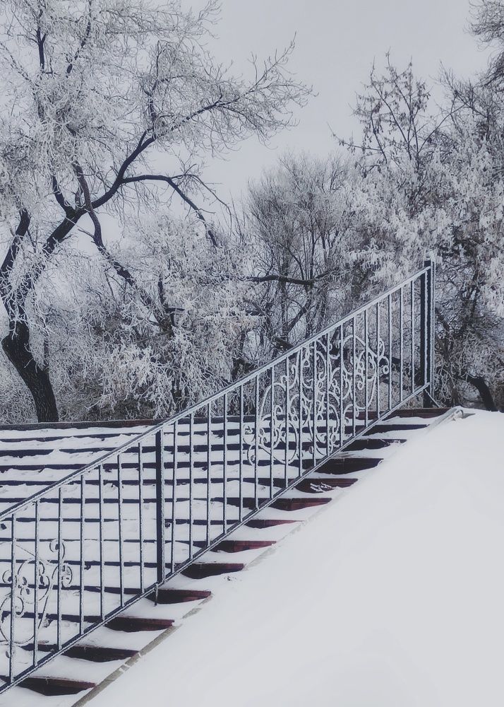 Фотография автора Марина Маллаева