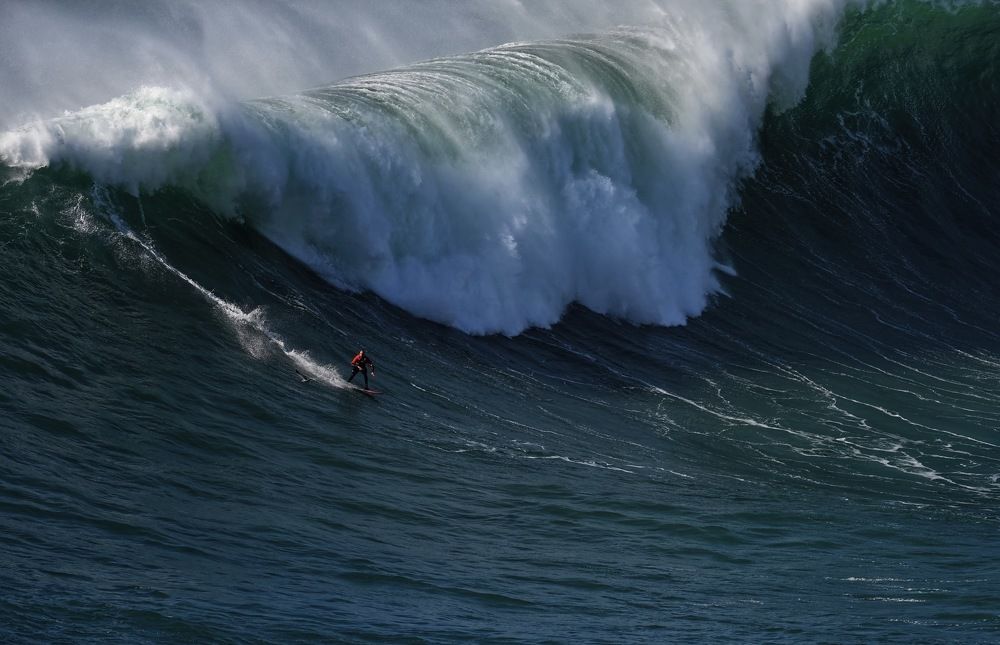 Faster than the seagull