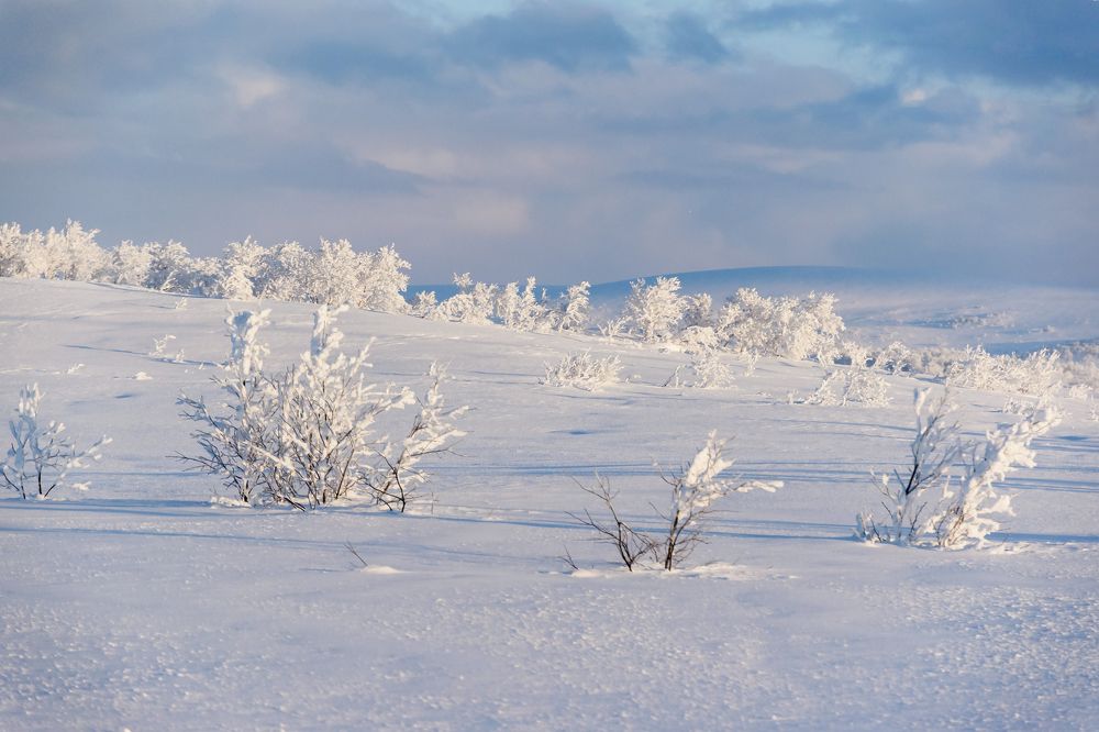 Фотография автора Рохмистрова Мария