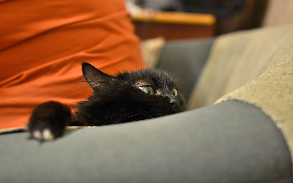 Photograph by Вадим Качанов