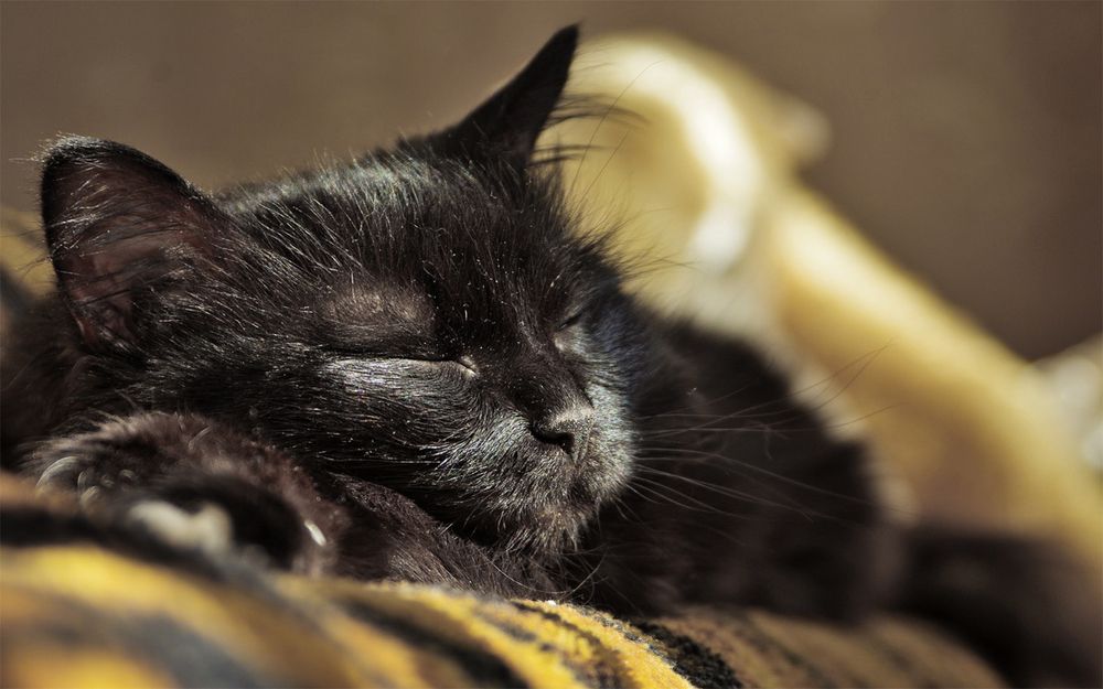 Photograph by Вадим Качанов