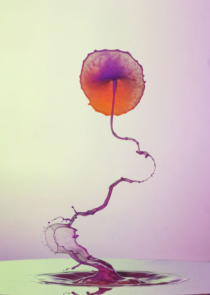 Photograph by Yağcı Mustafa