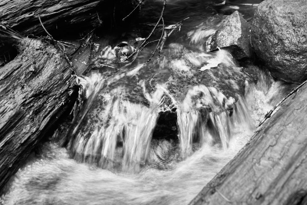 Photograph by Carlos Garcia