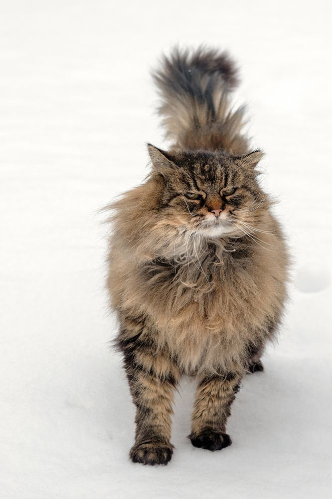 Photograph by Александр Клиновский