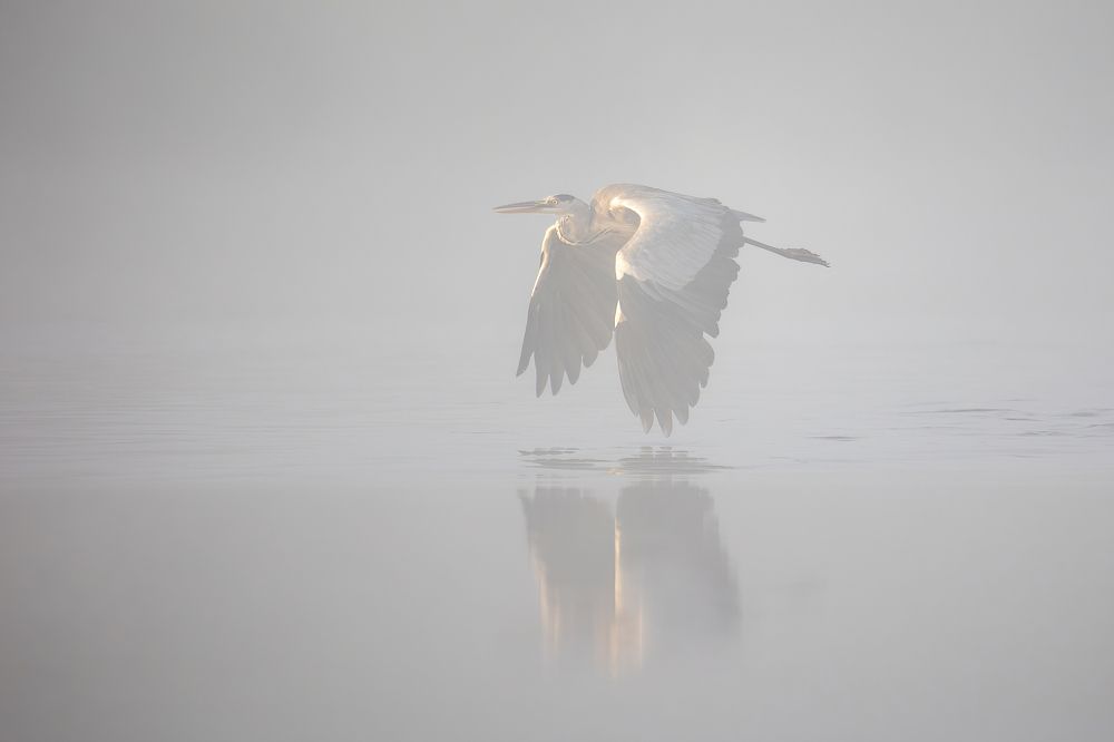 Photograph by Дина Нестеркова