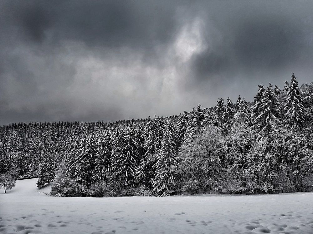 Photograph by Alexander Mishuris