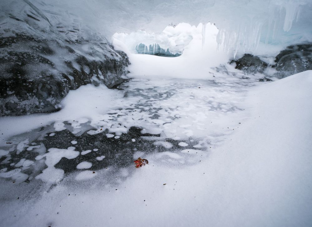 Photograph by Артем Явтушенко