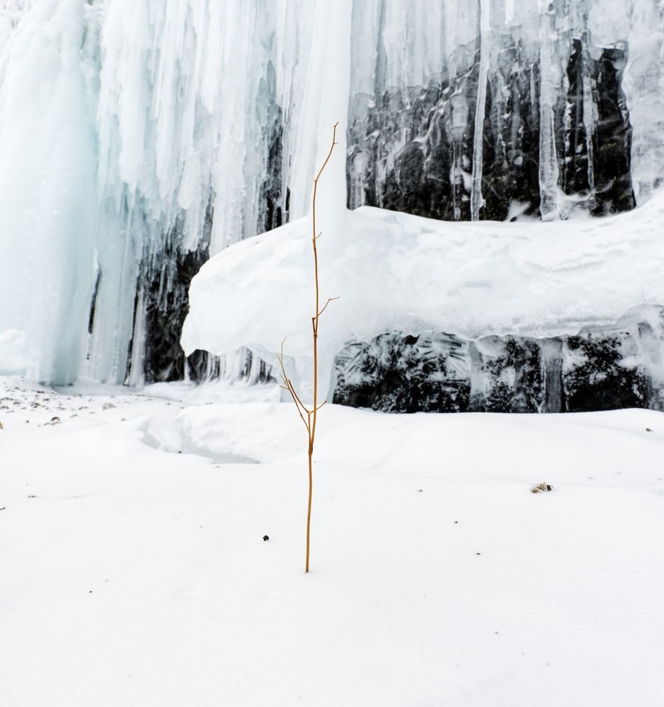 Photograph by Артем Явтушенко