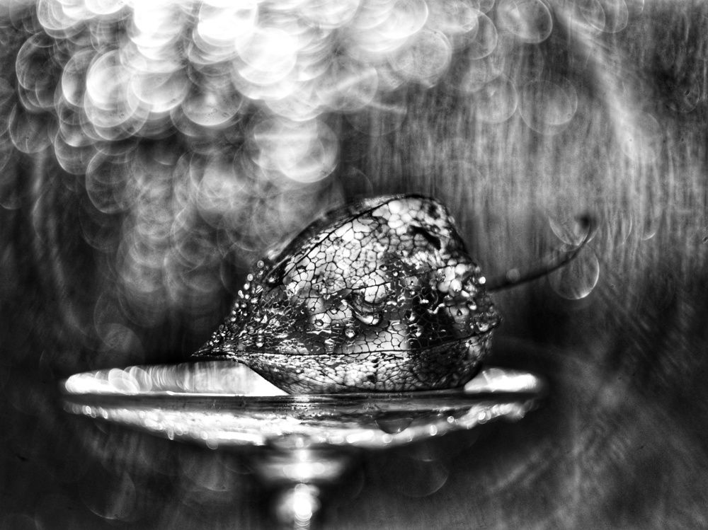 Photograph by Алеся Цеван