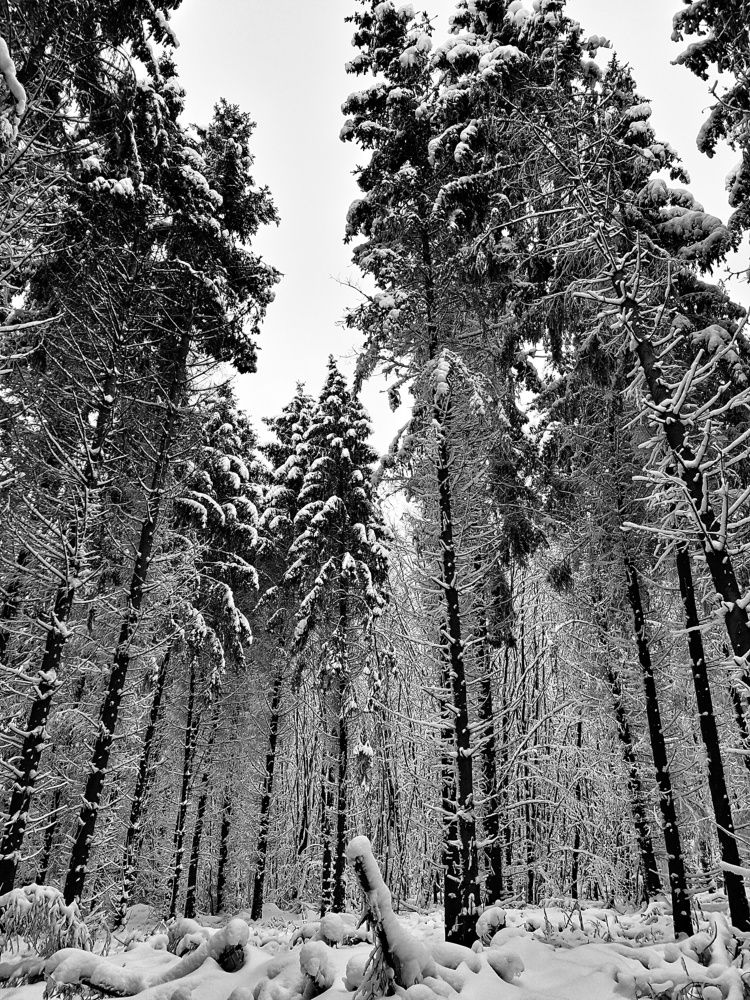 Photograph by Alexander Mishuris