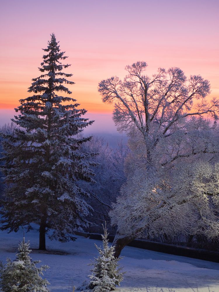 Photograph by Larisa Usova