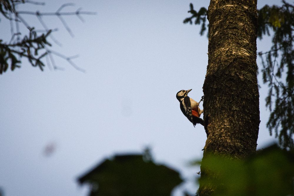 Фотография автора Захар