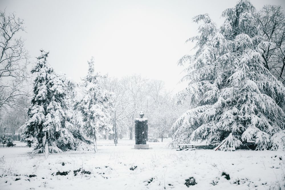 Photograph by Max Samadhi