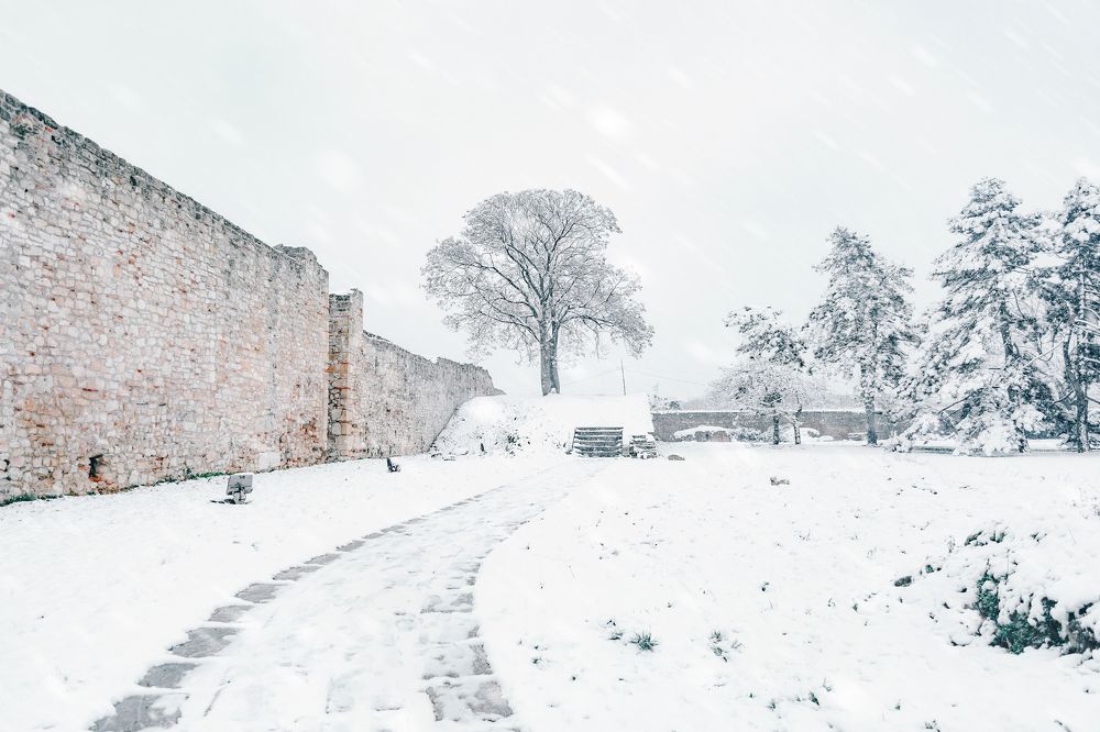 Photograph by Max Samadhi