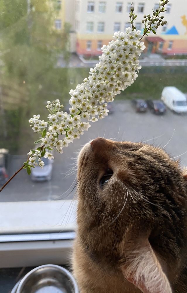 Photograph by Анастасия