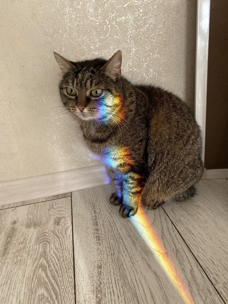 Photograph by Анастасия