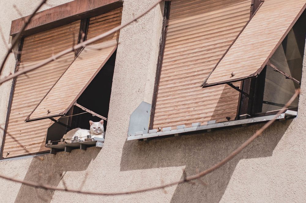 Photograph by Max Samadhi