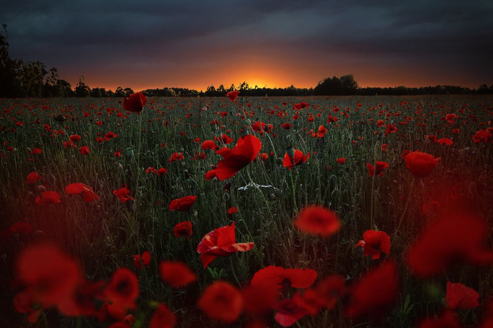 Photograph by Dace Spalviņa