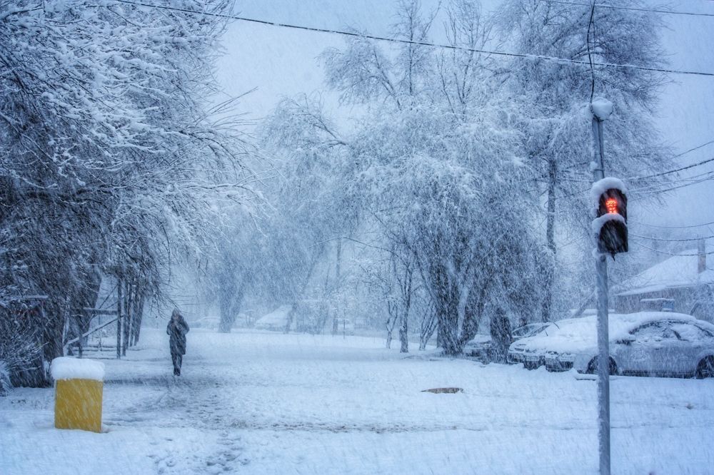 Photograph by Алексей Кроль