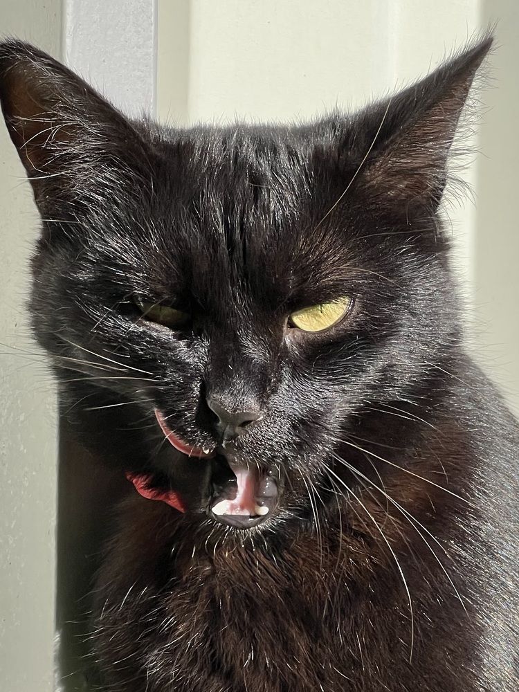 Photograph by Алексей Большаков