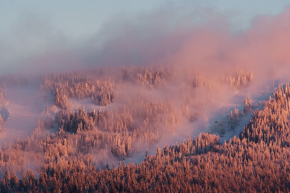 Солнце на склоне