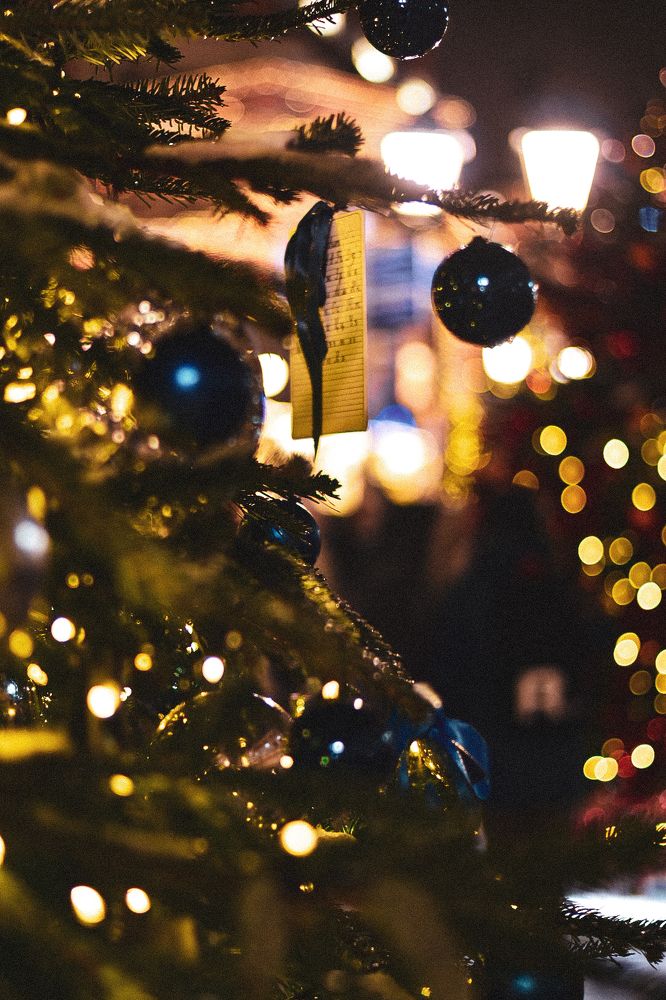 Photograph by Ксения Помогаева