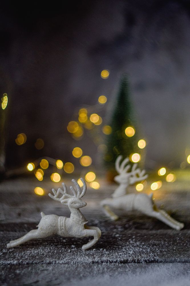 Photograph by Ксения Помогаева