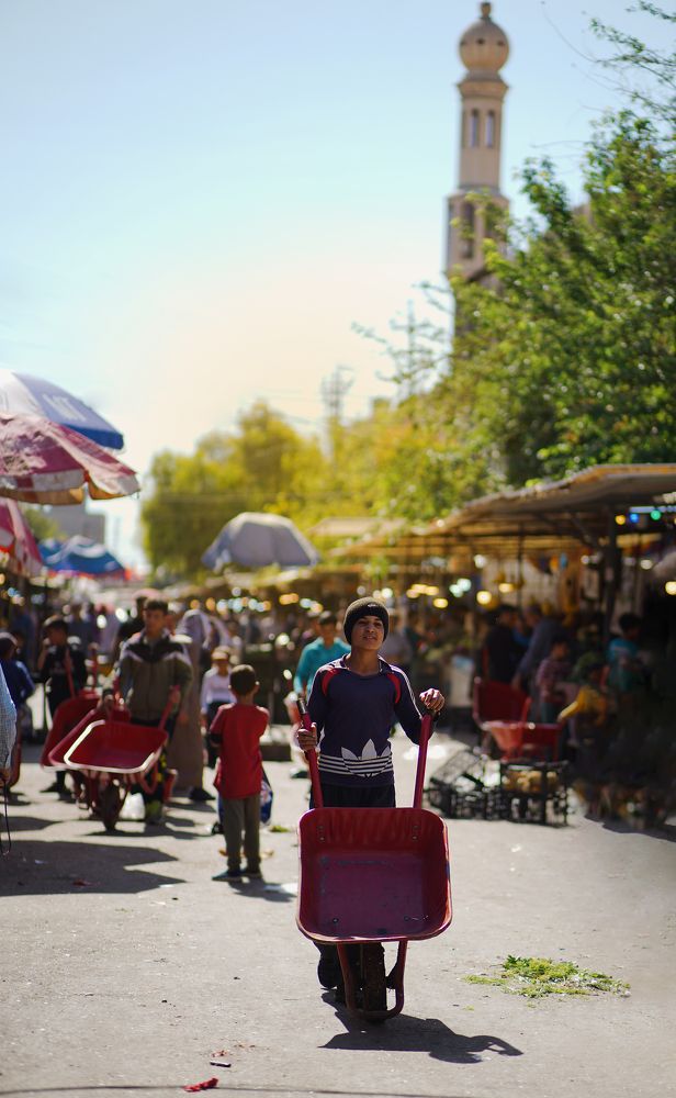 Photograph by Ramiar Dilshad