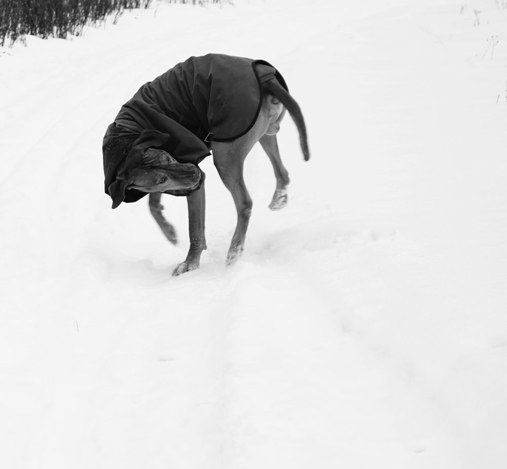 Photograph by Ксения Рош