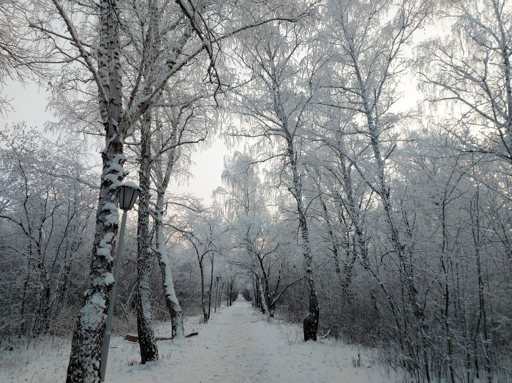 Photograph by Алена Марченко