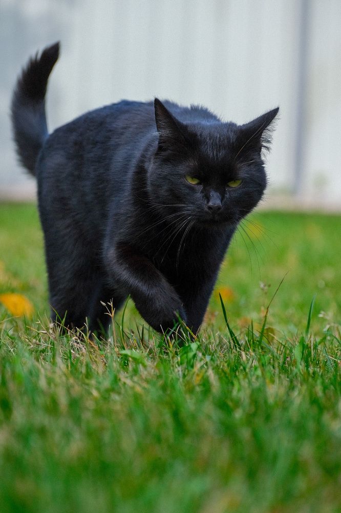 Photograph by Алексей Большаков