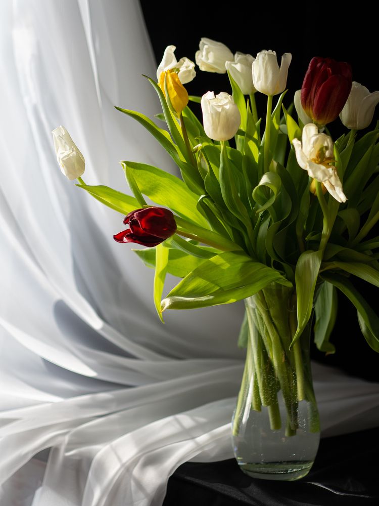 Photograph by Larisa Usova