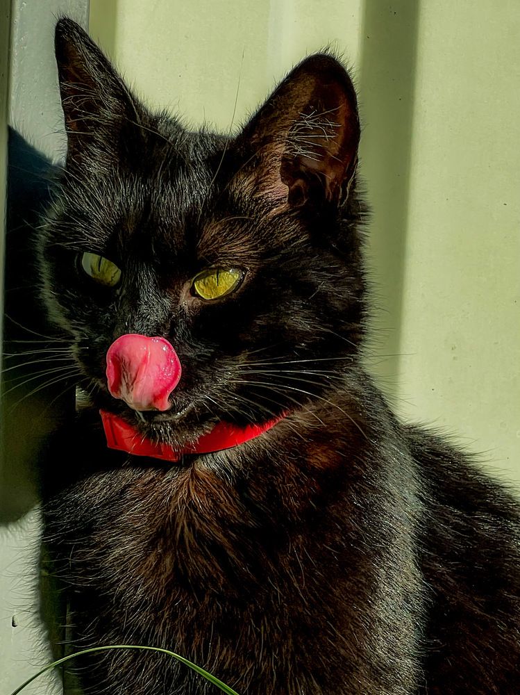 Photograph by Алексей Большаков