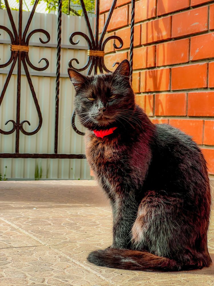 Photograph by Алексей Большаков