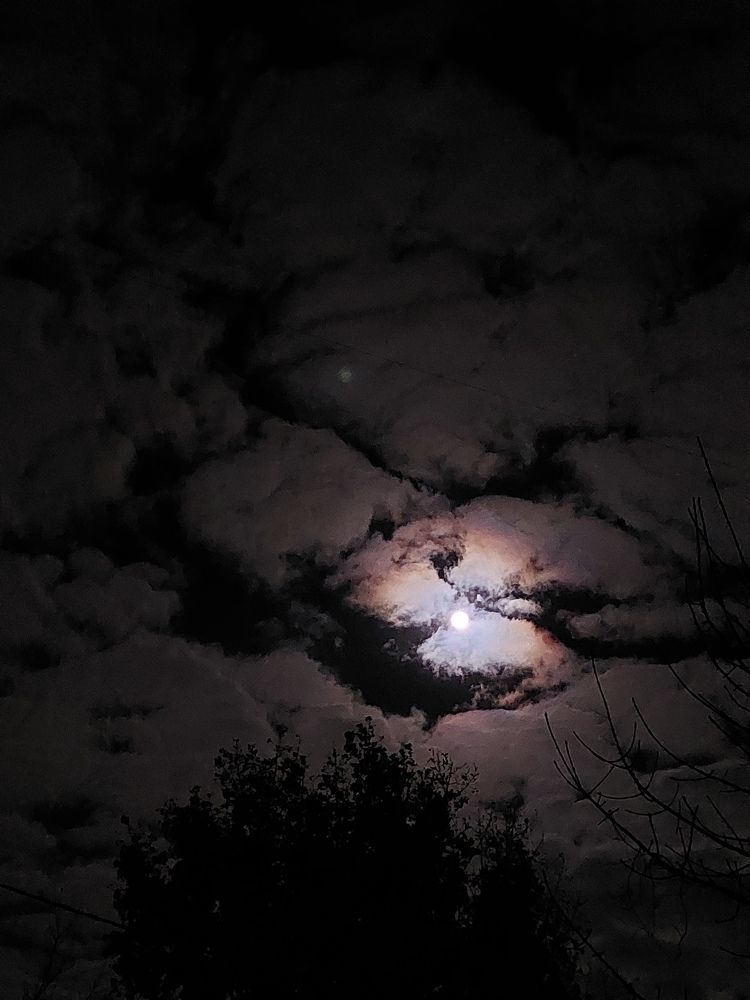 Photograph by Нина Паршина