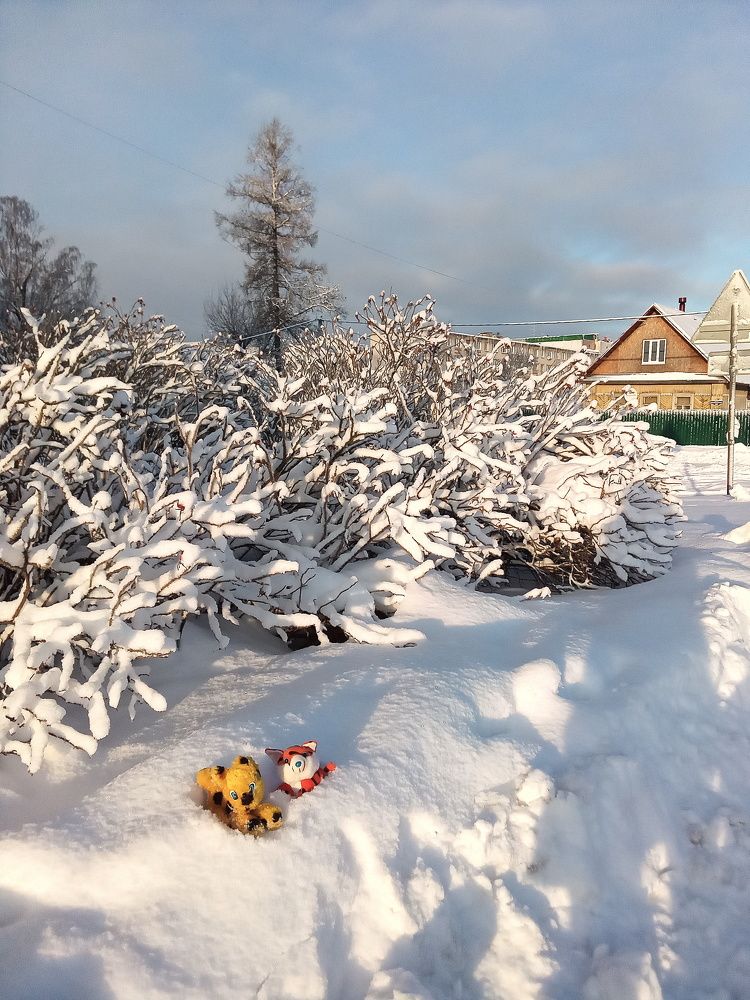 Игрушки в снегу