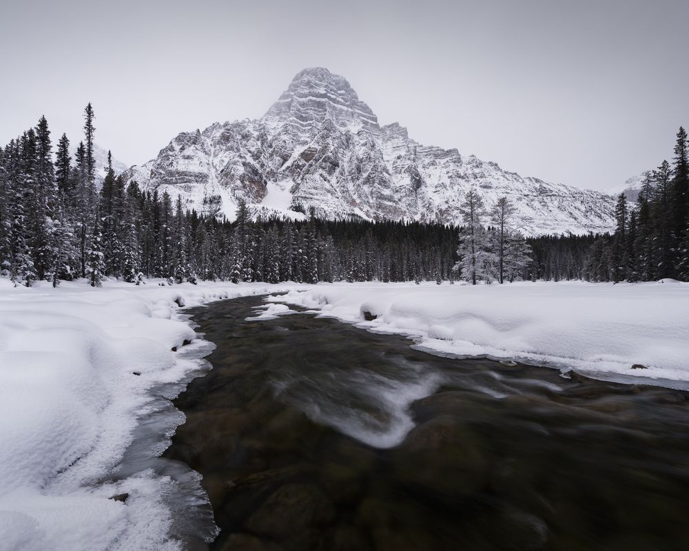 Photograph by Han Jinyi