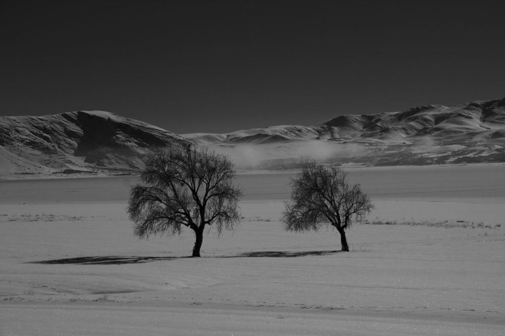 Photograph by Hasti Esteki