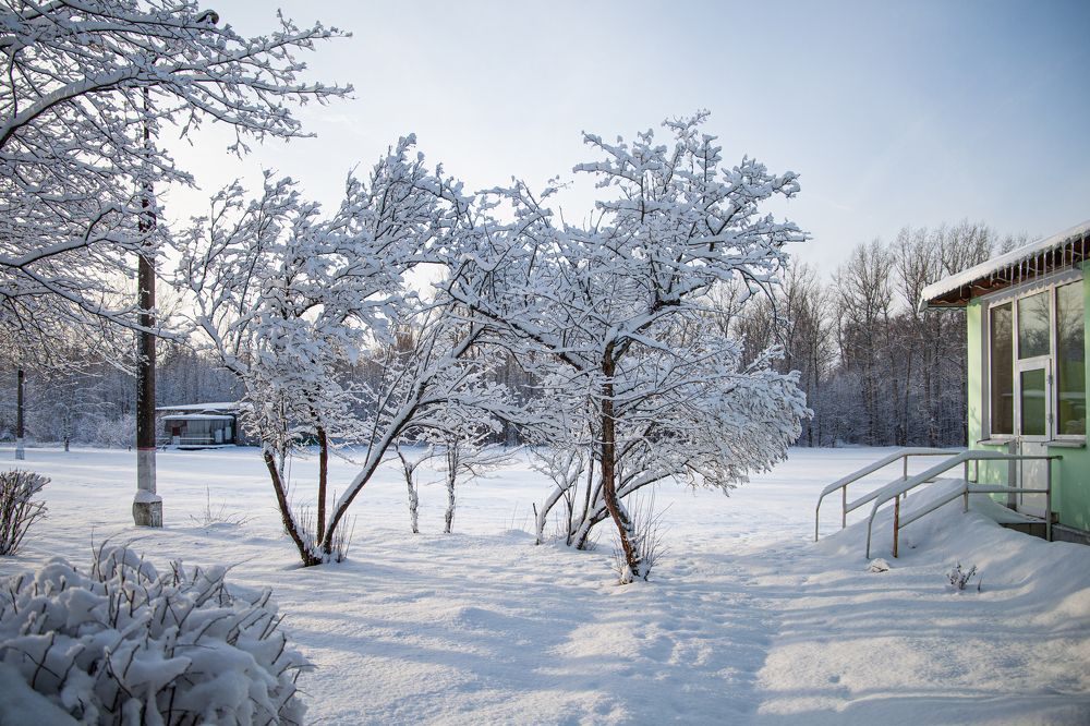Фотография автора Мария Веселова