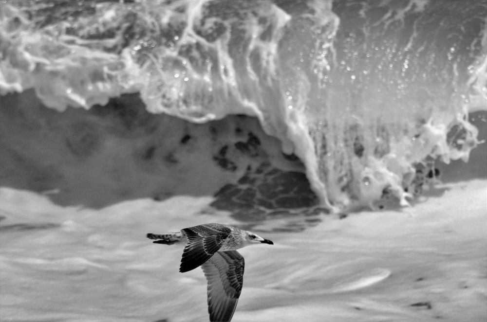 Photograph by Наталья Иванова