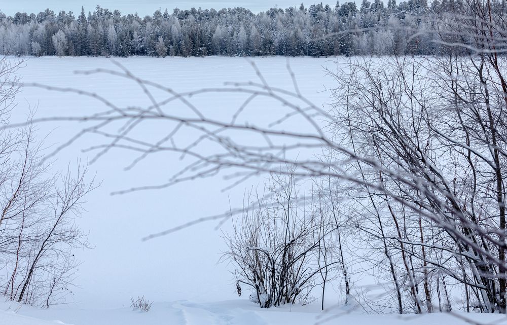 Photograph by Оксана Шаяхметова