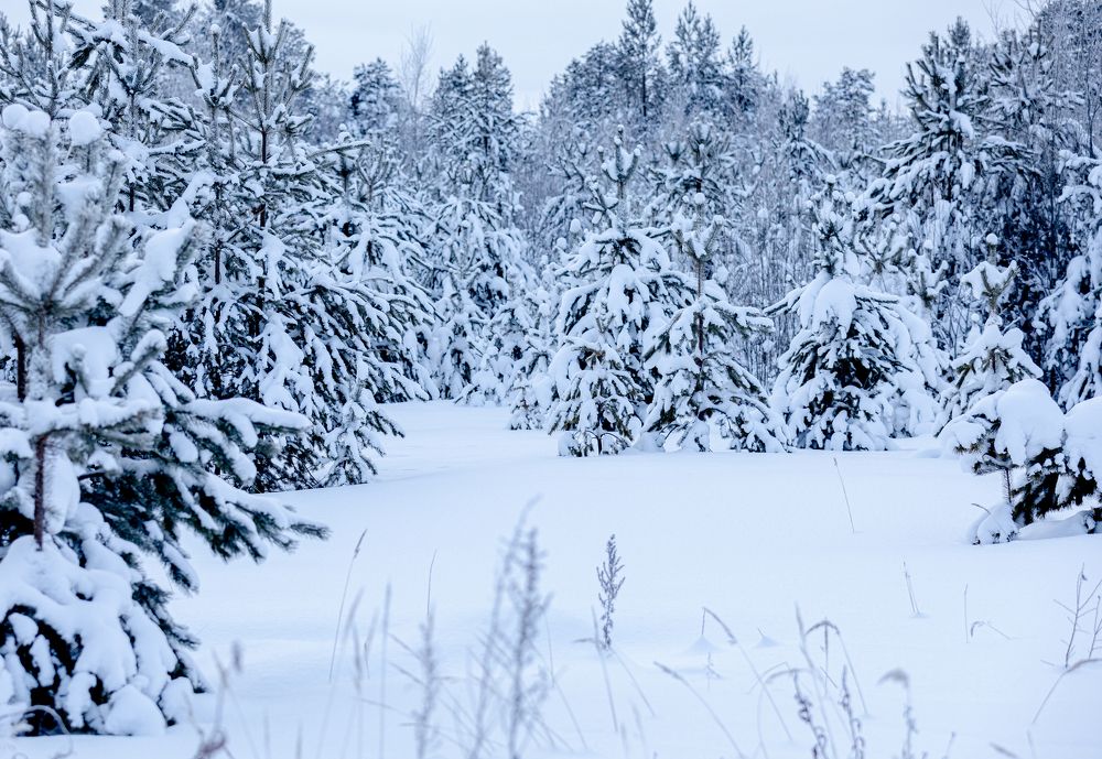 Photograph by Оксана Шаяхметова